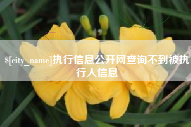 广汉执行信息公开网查询不到被执行人信息
