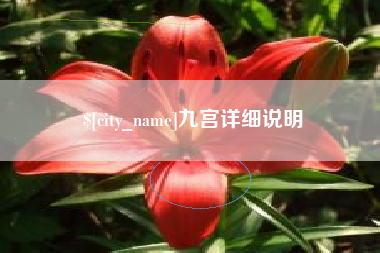 广汉九宫详细说明