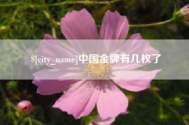 广汉中国金牌有几枚了