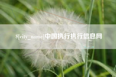 广汉中国执行执行信息网