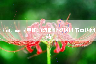 广汉查询消防职业资格证书真伪网站