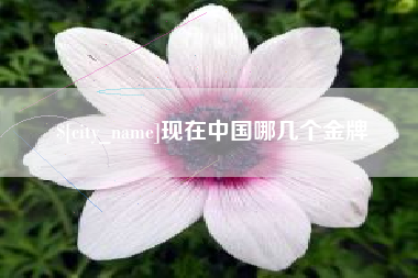 广汉现在中国哪几个金牌