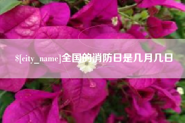 广汉全国的消防日是几月几日