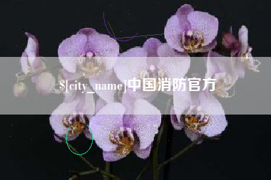 广汉中国消防官方