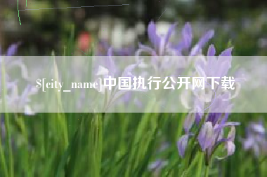 广汉中国执行公开网下载