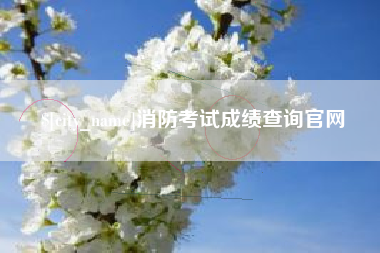 广汉消防考试成绩查询官网