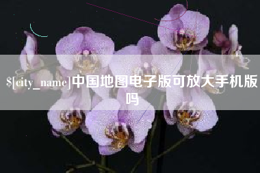 广汉中国地图电子版可放大手机版吗