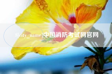 广汉中国消防考试网官网