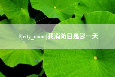 广汉我消防日是哪一天