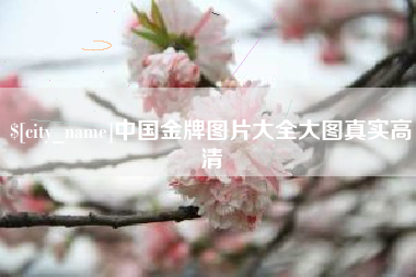 广汉中国金牌图片大全大图真实高清