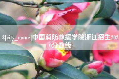 广汉中国消防救援学院浙江招生2020分数线