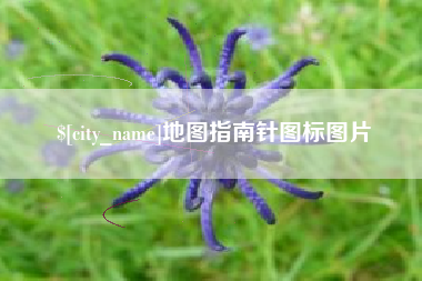 广汉地图指南针图标图片