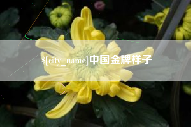 广汉中国金牌样子
