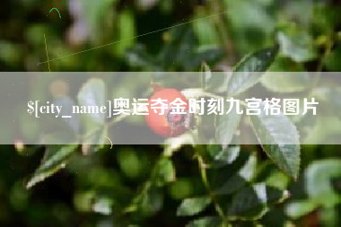 广汉奥运夺金时刻九宫格图片