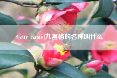 广汉九宫格的名称叫什么