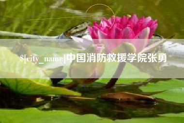 广汉中国消防救援学院张勇