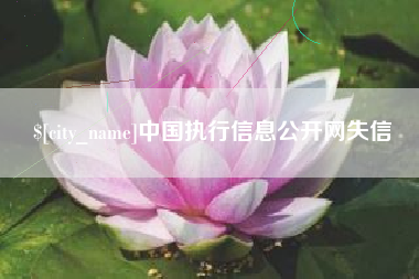 广汉中国执行信息公开网失信