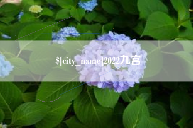 广汉2022九宫
