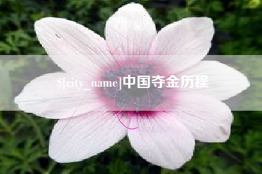 广汉中国夺金历程