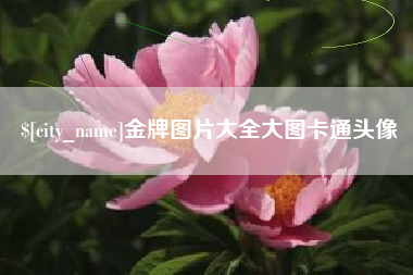广汉金牌图片大全大图卡通头像