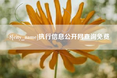 广汉执行信息公开网查询免费