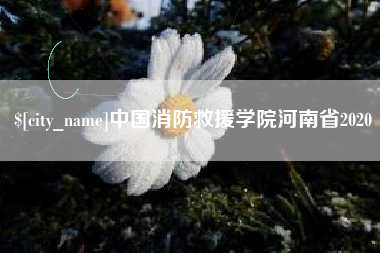 广汉中国消防救援学院河南省2020