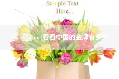 广汉看看中国的金牌有多少